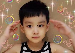 曹颖儿子爆料了吗图片视频,独家图片视频揭露家庭生活点滴